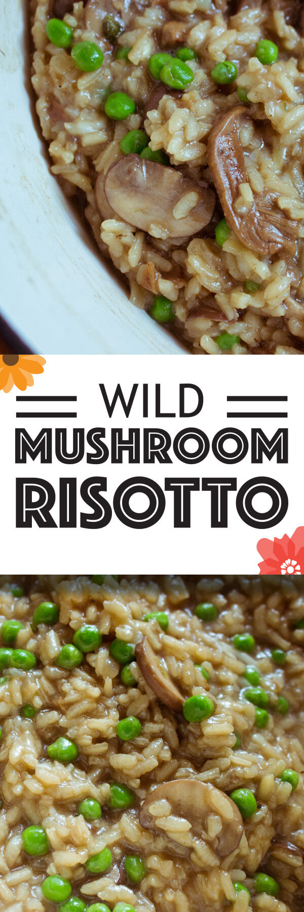 Nothing says risotto better than wild mushroom risotto