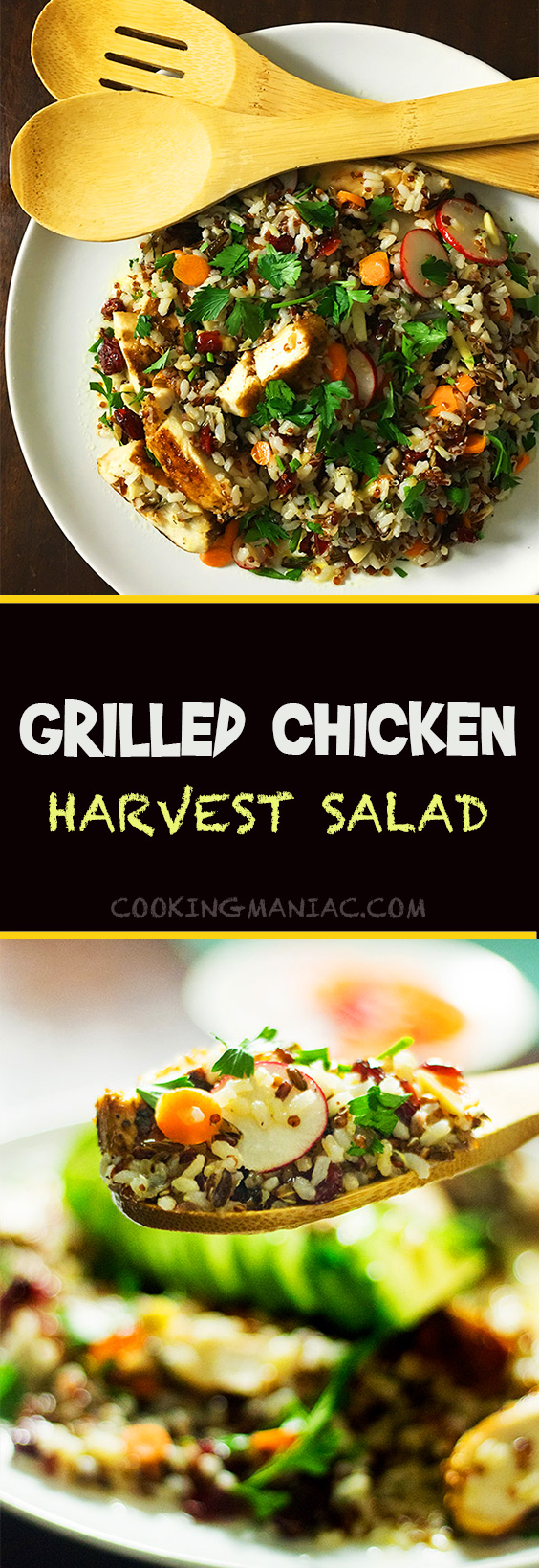 Grilled-Chicken-Harvest-Salad-Long-Pin